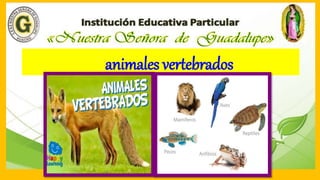 animales vertebrados
 