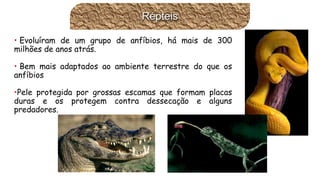 •Evoluíramdeumgrupodeanfíbios,hámaisde300milhõesdeanosatrás. 
•Bemmaisadaptadosaoambienteterrestredoqueosanfíbios 
•Peleprotegidaporgrossasescamasqueformamplacasduraseosprotegemcontradessecaçãoealgunspredadores. Répteis  