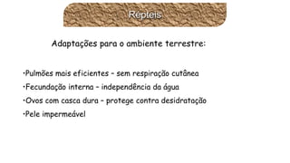 Adaptaçõespara o ambienteterrestre: 
•Pulmõesmaiseficientes–semrespiraçãocutânea 
•Fecundaçãointerna–independênciada água 
•Ovoscom cascadura–protegecontra desidratação 
•Pele impermeávelRépteis  