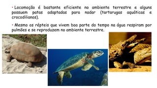•Locomoçãoébastanteeficientenoambienteterrestreealgunspossuempatasadaptadasparanadar(tartarugasaquáticasecrocodilianos). 
•Mesmoosrépteisquevivemboapartedotemponaáguarespiramporpulmõesesereproduzemnoambienteterrestre.  