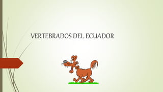 VERTEBRADOS DEL ECUADOR
 