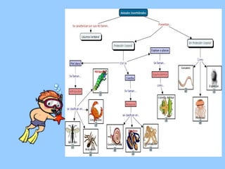 Se clasifican: Moluscos Arácnidos Crustáceos Insectos 