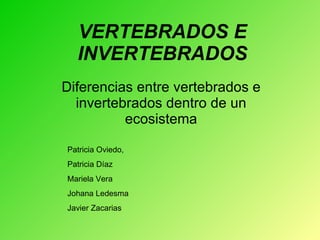 VERTEBRADOS E INVERTEBRADOS Diferencias entre vertebrados e invertebrados dentro de un ecosistema Patricia Oviedo, Patricia Díaz Mariela Vera Johana Ledesma Javier Zacarias 