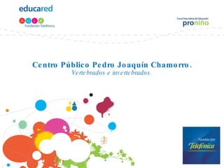Centro Público Pedro Joaquín Chamorro. Vertebrados e invertebrados. 