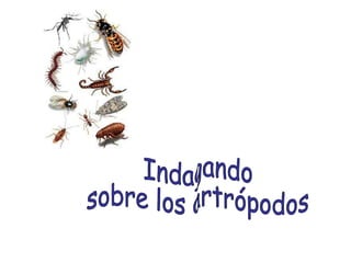 Indagando  sobre los artrópodos 
