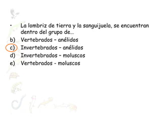 La lombriz de tierra y la sanguijuela, se encuentran dentro del grupo de… Vertebrados – anélidos Invertebrados – anélidos Invertebrados – moluscos Vertebrados - moluscos 