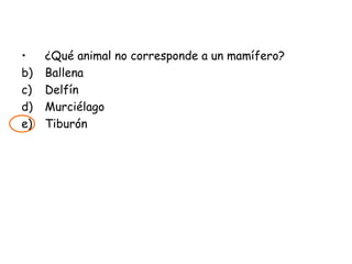 ¿Qué animal no corresponde a un mamífero? Ballena Delfín  Murciélago Tiburón 