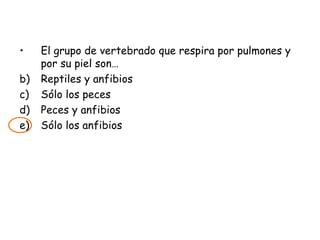 El grupo de vertebrado que respira por pulmones y por su piel son… Reptiles y anfibios Sólo los peces Peces y anfibios Sólo los anfibios 