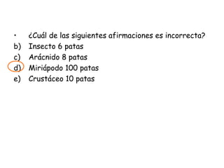 ¿Cuál de las siguientes afirmaciones es incorrecta? Insecto 6 patas Arácnido 8 patas Miriápodo 100 patas Crustáceo 10 patas 