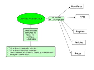 Mamíferos Aves Reptiles Anfibios Peces 