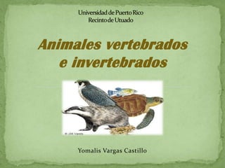 Animales vertebrados
   e invertebrados




     Yomalis Vargas Castillo
 