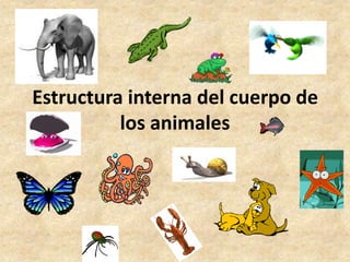 Estructura interna del cuerpo de
          los animales
 