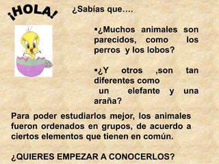 ¿Sabías que….

                   ¿Muchos animales son
                   parecidos, como     los
                   perr...