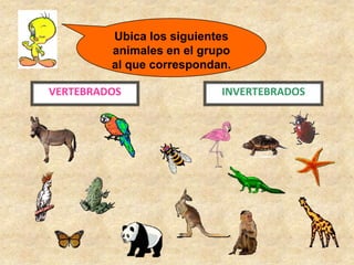 Ubica los siguientes
         animales en el grupo
         al que correspondan.

VERTEBRADOS                INVERTEBRADOS
 