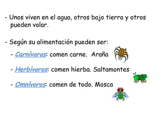 - Unos viven en el agua, otros bajo tierra y otros
pueden volar.
- Según su alimentación pueden ser:
- Carnívoros: comen carne. Araña
- Herbívoros: comen hierba. Saltamontes
- Omnívoros: comen de todo. Mosca
 