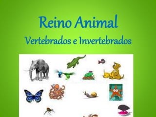 Reino Animal
Vertebrados e Invertebrados
 