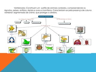 Vertebrados :Constituem um subfilo de animais cordados, compreendendo os
ágnatos, peixes, anfíbios, répteis e aves e mamíferos. Caracterizam-se pela presença de coluna
vertebral segmentada de crânio, que protege o cérebro.
 