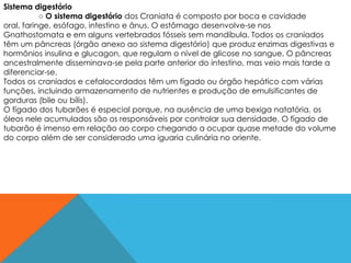 Sistema digestório
           ○ O sistema digestório dos Craniata é composto por boca e cavidade
oral, faringe, esófago, intestino e ânus. O estômago desenvolve-se nos
Gnathostomata e em alguns vertebrados fósseis sem mandíbula. Todos os craniados
têm um pâncreas (órgão anexo ao sistema digestório) que produz enzimas digestivas e
hormônios insulina e glucagon, que regulam o nível de glicose no sangue. O pâncreas
ancestralmente disseminava-se pela parte anterior do intestino, mas veio mais tarde a
diferenciar-se.
Todos os craniados e cefalocordados têm um fígado ou órgão hepático com várias
funções, incluindo armazenamento de nutrientes e produção de emulsificantes de
gorduras (bile ou bílis).
O fígado dos tubarões é especial porque, na ausência de uma bexiga natatória, os
óleos nele acumulados são os responsáveis por controlar sua densidade. O fígado de
tubarão é imenso em relação ao corpo chegando a ocupar quase metade do volume
do corpo além de ser considerado uma iguaria culinária no oriente.
 