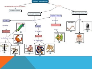 Vertebrados e invertebrados 1003