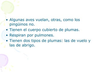 Algunas aves vuelan, otras, como los pingüinos no. Tienen el cuerpo cubierto de plumas. Respiran por pulmones. Tienen dos tipos de plumas: las de vuelo y las de abrigo. 