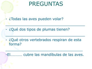 PREGUNTAS ¿Todas las aves pueden volar? ___________________________________ ¿Qué dos tipos de plumas tienen? ___________________________________ ¿Qué otros vertebrados respiran de esta forma? __________________________________ -El………… cubre las mandíbulas de las aves. 