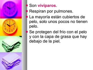 Son  vivíparos . Respiran por pulmones. La mayoría están cubiertos de pelo, solo unos pocos no tienen pelo. Se protegen del frío con el pelo y con la capa de grasa que hay debajo de la piel. 