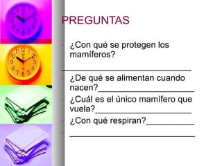 PREGUNTAS ¿Con qué se protegen los mamíferos? ___________________________ ¿De qué se alimentan cuando nacen?____________________ ¿Cuál es el único mamífero que vuela?____________________ ¿Con qué respiran?__________ __________________________ 