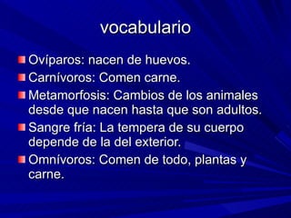 vocabulario Ovíparos: nacen de huevos. Carnívoros: Comen carne. Metamorfosis: Cambios de los animales desde que nacen hasta que son adultos. Sangre fría: La tempera de su cuerpo depende de la del exterior. Omnívoros: Comen de todo, plantas y carne. 