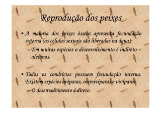 Reprodução dos peixes
• A maioria dos peixes ósseos apresenta fecundação
                                               água);
  externa (as células sexuais são liberadas na água);
   – Em muitas espécies o desenvolvimento é indireto –
     alevinos.
     alevinos.

• Todos os condríctes possuem fecundação interna.
                                                interna.
                                            vivíparas.
  Existem espécies ovíparas, ovovivíparas e vivíparas.
   – O desenvolvimento é direto.
                         direto.
 