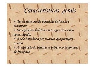 Características gerais
• Apresentam grande variedade de formas e
tamanhos;
tamanhos;
• São aquáticos;habitam tanto água doce como
       aquáticos;
      salgada.
água salgada.
• A pele é recoberta por escamas, que protegem
  corpo.
o corpo.
• A respiração da maioria os peixes ocorre por meio
   brânquias.
de brânquias.
 