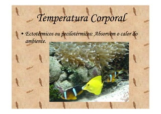 Temperatura Corporal
• Ectotérmicos ou pecilotérmicos: Absorvem o calor do
  ambiente.
 