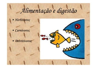 Alimentação e digestão
• Herbívoros;

• Carnívoros;

• Detritívoros;
 