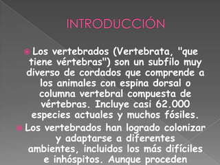 LOS VERTEBRADOS POR ISABEL YAUCEN | PPTX
