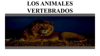 LOS ANIMALES
VERTEBRADOS
 