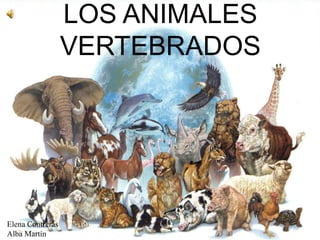 LOS ANIMALES
                  VERTEBRADOS




Elena Contreras
Alba Martín
 