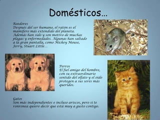 Domésticos…
Roedores
Después del ser humano, el ratón es el
mamífero más extendido del planeta.
Además han sido y son motivo de muchas
plagas y enfermedades. Algunas han saltado
a la gran pantalla, como Mickey Mouse,
Jerry, Stuart Little…




                           Perros
                           El fiel amigo del hombre,
                           con su extraordinario
                           sentido del olfato y el oído
                           protegen a sus seres más
                           queridos.



Gatos
Son más independientes e incluso ariscos, pero si te
ronronea quiere decir que está muy a gusto contigo.
 