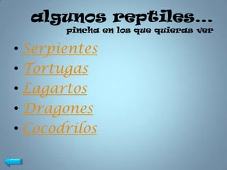 algunos reptiles…
       pincha en los que quieras ver

• Serpientes
• Tortugas
• Lagartos
• Dragones
• Cocodrilos
 