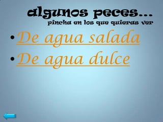 algunos peces…
    pincha en los que quieras ver


•De agua salada
•De agua dulce
 