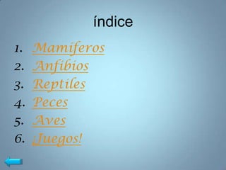 índice
1.   Mamíferos
2.   Anfibios
3.   Reptiles
4.   Peces
5.   Aves
6.   ¡Juegos!
 