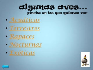 algunas aves…
       pincha en los que quieras ver

• Acuáticas
• Terrestres
• Rapaces
• Nocturnas
• Exóticas
 
