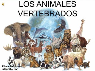 LOS ANIMALES
            VERTEBRADOS




Elena Contreras
Alba Martín
 