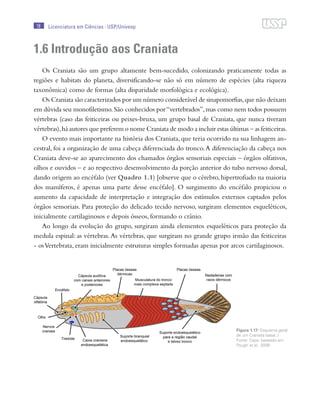 18 Licenciatura em Ciências · USP/Univesp
1.6 Introdução aos Craniata
Os Craniata são um grupo altamente bem-sucedido, col...