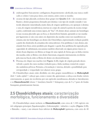 46
VIDA E MEIO AMBIENTE Diversidade e Evolução de Vertebrados
Licenciatura em Ciências · USP/Univesp
2.	 endoesqueleto basicamente cartilaginoso, frequentemente calcificado, mas nunca ossifi-
cado; o crânio é uma peça única, sem suturas, assim como as maxilas;
3.	 escamas do tipo placoide, exclusivas desse grupo (ver Quadro 2.1) – são escamas seme-
lhantes a dentes pequeninos, formados por dentina e um tipo de esmalte (esmalte é um
tecido altamente mineralizado, muito duro, de origem epidérmica, em oposição à dentina
e osso, de origem mesodérmica), imersas no corpo do animal (a ponta da escama rompe
a pele), conferindo uma textura áspera, de “lixa”. Os dentes desses animais são homólogos
às suas escamas placoides que, na boca, se desenvolvem bastante, apoiando-se nas maxilas
por ligamentos (e não com raízes em depressões das maxilas como nos mamíferos); no
entanto, não são homólogos aos dentes dos Osteichthyes, representando evolução paralela
a partir dos dentículos da armadura dos ostracodermes. Um problema é esses dentes, não
estando bem fixos, serem perdidos por desgaste e queda. Esse problema foi superado pela
capacidade de substituição, mecanismo também observado em alguns peixes ósseos: os
dentes ficam dispostos em fileiras ao longo de uma espiral, de forma que, na linha externa
das maxilas, estão as fileiras com dentes funcionais, enquanto internamente, recobertas
pela mucosa bucal, estão as fileiras de dentes em desenvolvimento.
4.	 Presença de clásper nos machos (ver Figura 2.22), órgão de cópula pareado desen-
volvido a partir dos raios mediais (voltados para a linha mediana ventral do corpo)
das nadadeiras pélvicas. Portanto, a fecundação é interna, abrindo a possibilidade para
oviviparidade e viviparidade (ver abaixo) nesse grupo.
Os Chondricthyes atuais estão divididos em dois grupos monofiléticos: os Holocephali
(holo = todo; cephali = cabeça) que, como o nome diz, apresentam a cabeça sem fendas visíveis
externamente, as quais são recobertas por um opérculo membranoso, abrindo-se lateralmente;
e os Elasmobranchii (elasmo = lamelares; branchii = brânquias), com de 5 a 7 pares de fendas
branquiais, primitivamente laterais.
2.5 Chondrichthyes atuais: caracterização
morfológica, funcionamento e diversidade
Os Chondrichthyes atuais incluem os Elasmobranchii, com cerca de 1.100 espécies em
três subgrupos principais (Squalomorphii e Galeomorphii – tubarões e cações (Figura 2.15),
e Batoidea - raias), e um número bem inferior de Holocephali (quimeras, com cerca de 40
 