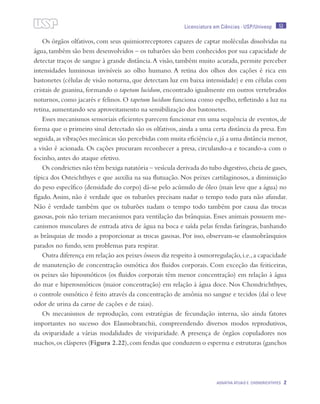 53
Agnatha atuais e Chondrichthyes 2
Licenciatura em Ciências · USP/Univesp
Os órgãos olfativos, com seus quimiorreceptores capazes de captar moléculas dissolvidas na
água, também são bem desenvolvidos – os tubarões são bem conhecidos por sua capacidade de
detectar traços de sangue à grande distância.A visão, também muito acurada, permite perceber
intensidades luminosas invisíveis ao olho humano. A retina dos olhos dos cações é rica em
bastonetes (células de visão noturna, que detectam luz em baixa intensidade) e em células com
cristais de guanina, formando o tapetum lucidum, encontrado igualmente em outros vertebrados
noturnos, como jacarés e felinos. O tapetum lucidum funciona como espelho, refletindo a luz na
retina, aumentando seu aproveitamento na sensibilização dos bastonetes.
Esses mecanismos sensoriais eficientes parecem funcionar em uma sequência de eventos, de
forma que o primeiro sinal detectado são os olfativos, ainda a uma certa distância da presa. Em
seguida,as vibrações mecânicas são percebidas com muita eficiência e,já a uma distância menor,
a visão é acionada. Os cações procuram reconhecer a presa, circulando-a e tocando-a com o
focinho, antes do ataque efetivo.
Os condricties não têm bexiga natatória – vesícula derivada do tubo digestivo,cheia de gases,
típica dos Osteichthyes e que auxilia na sua flutuação. Nos peixes cartilaginosos, a diminuição
do peso específico (densidade do corpo) dá-se pelo acúmulo de óleo (mais leve que a água) no
fígado. Assim, não é verdade que os tubarões precisam nadar o tempo todo para não afundar.
Não é verdade também que os tubarões nadam o tempo todo também por causa das trocas
gasosas, pois não teriam mecanismos para ventilação das brânquias. Esses animais possuem me-
canismos musculares de entrada ativa de água na boca e saída pelas fendas faríngeas, banhando
as brânquias de modo a proporcionar as trocas gasosas. Por isso, observam-se elasmobrânquios
parados no fundo, sem problemas para respirar.
Outra diferença em relação aos peixes ósseos diz respeito à osmorregulação,i.e.,a capacidade
de manutenção de concentração osmótica dos fluidos corporais. Com exceção das feiticeiras,
os peixes são hiposmóticos (os fluidos corporais têm menor concentração) em relação à água
do mar e hiperosmóticos (maior concentração) em relação à água doce. Nos Chondrichthyes,
o controle osmótico é feito através da concentração de amônia no sangue e tecidos (daí o leve
odor de urina da carne de cações e de raias).
Os mecanismos de reprodução, com estratégias de fecundação interna, são ainda fatores
importantes no sucesso dos Elasmobranchii, compreendendo diversos modos reprodutivos,
da oviparidade a várias modalidades de viviparidade. A presença de órgãos copuladores nos
machos,os clásperes (Figura 2.22),com fendas que conduzem o esperma e estruturas (ganchos
 