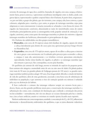 134
VIDA E MEIO AMBIENTE Diversidade e Evolução de Vertebrados
Licenciatura em Ciências · USP/Univesp
terrestre.As tartarugas de água doce, também chamadas de cágados, tem uma carapaça relativa-
mente baixa, pouco convexa, e apresentam membranas interdigitais entre os dedos, ainda com
garras típicas, representando o padrão corporal básico dos Chelonia.A partir deste, originaram-
-se,por um lado,o grupo dos jabotis,que são terrestres,com carapaça alta,bem convexa,e patas
colunares, adaptadas para a marcha, e, por outro, os grupos de tartarugas marinhas, cujas patas
adaptaram-se mais extremamente à natação, tornando-se achatadas e com forma de remos. Os
cágados são basicamente carnívoros, alimentando-se tanto de invertebrados como de outros
vertebrados, principalmente peixes (a tartaruguinha-verde, popular animal de estimação, é um
cágado, carnívoro), assim como parte das tartarugas-marinhas; os jabutis são onívoros e algumas
tartarugas-marinhas são herbívoras, alimentando-se principalmente de algas.
Os Chelonia são subdivididos em dois grupos monofiléticos:
•	 Pleurodira, com cerca de 50 espécies atuais (três famílias) de cágados, capazes de retrair
a cabeça lateralmente para dentro do casco; para isso, apresentam pescoço longo. Ocorre
no Hemisfério Sul.
•	 Cryptodira,com cerca de 175 espécies atuais,capazes de recolher a cabeça para o interior
do casco, graças a um movimento em S realizado pelo pescoço; para acomodar a cabeça,
a carapaça é mais alta anteriormente e as vértebras cervicais apresentam articulações
especializadas. Inclui várias famílias de cágados, os jabutis e as tartarugas marinhas (que
não retraem o pescoço). São cosmopolitas, exceto pela Austrália.
Os quelônios são animais de vida longa, mesmo se tratando de espécies de pequeno porte.
Esses animais não atingem a maturidade antes de sete ou oito anos de idade. Os jabutis podem
viver mais de 50 anos (os grandes jabutis de Galápagos passam de 100 anos) e as grandes tarta-
rugas marinhas também podem atingir 100 anos.Essa longevidade dificulta o estudo da história
de vida dos quelônios, além de estar, geralmente, associado a uma baixa taxa de substituição de
indivíduos na população, o que aumenta o risco de extinção quando seu número é reduzido
pela caça ou destruição de habitats.
É bem conhecido o costume das tartarugas voltarem sempre aos mesmos locais para a
desova.Assim, um dos grandes problemas atuais para a conservação das tartarugas marinhas é a
urbanização das costas, com a instalação de iluminação, que confunde a orientação dos jovens
recém-eclodidos – normalmente, eles vão em direção ao oceano iluminado pela lua e estrelas,
mas, com as luzes artificiais, muitos se orientam no sentido oposto, ficando mais expostos.
Variáveisambientais,taiscomotemperatura,umidadeeconcentraçãodeO2
edeCO2
influenciam
diretamente o desenvolvimento embrionário dos quelônios, o que os torna altamente vulneráveis
 