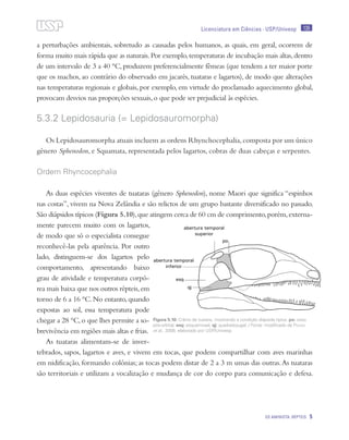 135
OS AMINIOTA: RÉPTEIS 5
Licenciatura em Ciências · USP/Univesp
a perturbações ambientais, sobretudo as causadas pelos humanos, as quais, em geral, ocorrem de
forma muito mais rápida que as naturais.Por exemplo,temperaturas de incubação mais altas,dentro
de um intervalo de 3 a 40 °C, produzem preferencialmente fêmeas (que tendem a ter maior porte
que os machos, ao contrário do observado em jacarés, tuataras e lagartos), de modo que alterações
nas temperaturas regionais e globais, por exemplo, em virtude do proclamado aquecimento global,
provocam desvios nas proporções sexuais,o que pode ser prejudicial às espécies.
5.3.2 Lepidosauria (= Lepidosauromorpha)
Os Lepidosauromorpha atuais incluem as ordens Rhynchocephalia,composta por um único
gênero Sphenodon, e Squamata, representada pelos lagartos, cobras de duas cabeças e serpentes.
Ordem Rhyncocephalia
As duas espécies viventes de tuataras (gênero Sphenodon), nome Maori que significa “espinhos
nas costas”, vivem na Nova Zelândia e são relictos de um grupo bastante diversificado no passado.
São diápsidos típicos (Figura 5.10),que atingem cerca de 60 cm de comprimento,porém,externa-
mente parecem muito com os lagartos,
de modo que só o especialista consegue
reconhecê-las pela aparência. Por outro
lado, distinguem-se dos lagartos pelo
comportamento, apresentando baixo
grau de atividade e temperatura corpó-
rea mais baixa que nos outros répteis,em
torno de 6 a 16 °C.No entanto,quando
expostas ao sol, essa temperatura pode
chegar a 28 °C,o que lhes permite a so-
brevivência em regiões mais altas e frias.
As tuataras alimentam-se de inver-
tebrados, sapos, lagartos e aves, e vivem em tocas, que podem compartilhar com aves marinhas
em nidificação, formando colônias; as tocas podem distar de 2 a 3 m umas das outras.As tuataras
são territoriais e utilizam a vocalização e mudança de cor do corpo para comunicação e defesa.
Figura 5.10: Crânio de tuatara, mostrando a condição diápsida típica. po: osso
pós-orbital; esq: esquamosal; qj: quadradojugal. / Fonte: modificado de Pough
et al., 2008; elaborado por USP/Univesp
 
