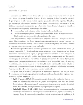 139
OS AMINIOTA: RÉPTEIS 5
Licenciatura em Ciências · USP/Univesp
Serpentes (= Ophidia)
Com mais de 3.300 espécies atuais, todas ápodes e com comprimento variando de 10
cm a 10 m, este grupo é também derivado de uma linhagem de lagartos, porém, diferente
da que originou as anfisbenas e os atuais lagartos ápodes.As cobras têm esqueleto delicado, o
que resultou em relativamente poucos registros fósseis e dificuldade na determinação de seu
modo de origem, embora seja aceito que as Serpentes vieram de uma linhagem de varanídeos.
Atualmente há duas hipóteses para a origem das cobras:
1.	 a partir de lagartos ápodes com hábito fossorial e olhos reduzidos, ou
2.	 a partir de linhagem aquática, com natação anguiliforme, através de movimentos on-
dulatórios do corpo, sem participação significativa das patas.
Esse alongamento do corpo característico das serpentes, associado à redução do seu diâ-
metro, foi acompanhado por alguns rearranjos na anatomia interna: o pulmão esquerdo está
reduzido ou inteiramente ausente,a vesícula biliar é posterior ao fígado,o rim direito é anterior
ao esquerdo, assim como acontece com as gônadas.
As cobras são predadores muito eficientes, possuindo um crânio internamente móvel (al-
tamente estreptostílico) e hemimandíbulas unidas apenas por pele e ligamentos, e não ligadas
firmemente como nos demais répteis, o que permite maior abertura da boca e ingestão de
presas maiores do que seu próprio diâmetro. Quando atinge o esôfago, a presa é forçada para
o estômago pela contração da musculatura do pescoço. Na captura das presas, alguns grupos
podem contar com os recursos de constrição ou da injeção de veneno.Nos grupos de serpentes
peçonhentas, como os viperídeos e os elapídeos, há dentes especializados na inoculação do
veneno, que tornam este mecanismo de ataque ainda mais eficiente.A glândula de veneno nas
Serpentes são glândulas salivares da maxila superior modificadas.
Há quatro tipos de dentição nas serpentes, de acordo com a presença (ou não) de dentes
de veneno, sua morfologia e posição, relacionadas ao modo de alimentação e captura e imo-
bilização das presas (Figura 5.12):
•	 Áglifa (Figura 5.12A, 5.6B): sem diferenciação de tamanho ou função. Ocorre, entre
outros, nas constritoras (família Boidae - jiboias, sucuris, pítons) e em parte dos colubrí-
deos (caninana,cobra-cipó,boipeva),grupo cosmopolita que abrange a maior diversidade
dentro das Serpentes, e que geralmente caçam perseguindo as presas.
•	 Opistóglifa (Figura 5.12B e 12C): dentes aumentados na porção posterior das maxilas,
com um par maior e sulcado para a injeção de veneno.Neste caso,a presa já deve estar par-
cialmente dentro da boca da cobra, tratando-se mais de um mecanismo de imobilização da
 