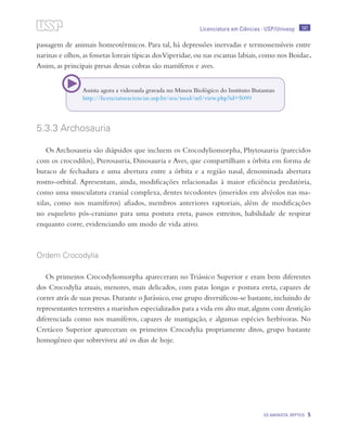 141
OS AMINIOTA: RÉPTEIS 5
Licenciatura em Ciências · USP/Univesp
passagem de animais homeotérmicos. Para tal, há depressões inervadas e termossensíveis entre
narinas e olhos,as fossetas loreais típicas dosViperidae,ou nas escamas labiais,como nos Boidae.
Assim, as principais presas dessas cobras são mamíferos e aves.
5.3.3 Archosauria
Os Archosauria são diápsidos que incluem os Crocodyliomorpha, Phytosauria (parecidos
com os crocodilos), Pterosauria, Dinosauria e Aves, que compartilham a órbita em forma de
buraco de fechadura e uma abertura entre a órbita e a região nasal, denominada abertura
rostro-orbital. Apresentam, ainda, modificações relacionadas à maior eficiência predatória,
como uma musculatura cranial complexa, dentes tecodontes (inseridos em alvéolos nas ma-
xilas, como nos mamíferos) afiados, membros anteriores raptoriais, além de modificações
no esqueleto pós-craniano para uma postura ereta, passos estreitos, habilidade de respirar
enquanto corre, evidenciando um modo de vida ativo.
Ordem Crocodylia
Os primeiros Crocodyliomorpha apareceram no Triássico Superior e eram bem diferentes
dos Crocodylia atuais, menores, mais delicados, com patas longas e postura ereta, capazes de
correr atrás de suas presas.Durante o Jurássico,esse grupo diversificou-se bastante,incluindo de
representantes terrestres a marinhos especializados para a vida em alto mar,alguns com dentição
diferenciada como nos mamíferos, capazes de mastigação, e algumas espécies herbívoras. No
Cretáceo Superior apareceram os primeiros Crocodylia propriamente ditos, grupo bastante
homogêneo que sobreviveu até os dias de hoje.
Assista agora a videoaula gravada no Museu Biológico do Instituto Butantan
http://licenciaturaciencias.usp.br/ava/mod/url/view.php?id=5099
 
