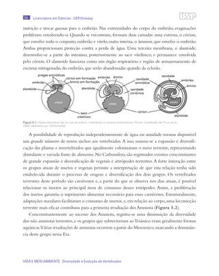 124
VIDA E MEIO AMBIENTE Diversidade e Evolução de Vertebrados
Licenciatura em Ciências · USP/Univesp
nutrição e trocas gasosas para o embrião. Nas extremidades do corpo do embrião, evaginações
proliferam envolvendo-o. Quando se encontram, formam duas camadas: uma externa, o córion,
que envolve todo o conjunto, embrião e vitelo; outra interna, o âmnion, que envolve o embrião.
Ambas proporcionam proteção contra a perda de água. Uma terceira membrana, o alantoide,
desenvolve-se a partir do intestino, posteriormente ao saco vitelínico, e permanece envolvida
pelo córion. O alantoide funciona como um órgão respiratório e região de armazenamento de
excretas nitrogenadas do embrião, que serão abandonadas quando da eclosão.
A possibilidade de reprodução independentemente de água ou umidade tornou disponível
um grande número de novos nichos aos vertebrados.A isso, somou-se a expansão e diversifi-
cação das plantas e invertebrados que igualmente colonizaram o meio terrestre, representando
abundante e variada fonte de alimento. No Carbonifero, são registrados eventos concomitantes
de grande expansão e diversificação de vegetais e artrópodes terrestres.A forte interação entre
os grupos atuais de insetos e vegetais permite a interpretação de que esta relação tenha sido
estabelecida durante o processo de origem e diversificação dos dois grupos. Os vertebrados
terrestres deste período são carnívoros e, a partir do que se observa nos dias atuais, é possível
relacionar os insetos ao principal item de consumo desses tetrápodes. Assim, a proliferação
dos insetos garantiu o suprimento alimentar necessário para esses carnívoros. Estruturalmente,
adaptações maxilares facilitaram o consumo de insetos, e, em relação ao corpo, uma locomoção
terrestre mais eficaz contribuiu para a primeira irradiação dos Amniota (Figura 5.2).
Concomitantemente ao sucesso dos Amniota, registra-se uma diminuição da diversidade
dos não amniotas terrestres, e os grupos que sobreviveram aoTriássico eram geralmente formas
aquáticas.Várias irradiações de amniotas ocorrem a partir do Mesozoico,marcando a dominân-
cia deste grupo nessa Era.
Figura 5.1: Desenvolvimento de um ovo amniótico, mostrando os anexos embrionários / Fonte: modificado de Pough et al.,
2008; elaborado por USP/Univesp
 