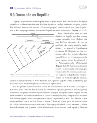130
VIDA E MEIO AMBIENTE Diversidade e Evolução de Vertebrados
Licenciatura em Ciências · USP/Univesp
5.3 Quem são os Reptilia
O grupo popularmente referido pelo nome Reptilia exclui Aves, descendentes de répteis
diápsidos,e os Mammalia,derivados de répteis Synapsida,configurando assim um grupo parafi-
lético clássico.Autores mais recentes excluem os Synapsida (com Mammalia) do táxon Reptilia,
mas as Aves,um grupo bastante interno em Diapsida,estariam incluídas (ver Figura 5.2 e 5.7).
Essas classificações mais recentes
dividem os Reptilia em dois grandes
grupos: Anapsida, com Chelonia (há
uma hipótese alternativa de que os
quelônios são outros diápidos modi-
ficados – ver abaixo), e Diapsida,com
os demais. Os Diapsida, por sua vez,
compreendem dois grandes subgrupos
monofiléticos, os Lepidosauromorpha
(aqui tratados como Lepidosauria) e
os Archosauromorpha (Archosauria)
(Figura 5.2). Os Archosauria incluem
asAves e os Crocodylia,entre os grupos
viventes,além dos conhecidos dinossau-
ros, enquanto os Lepidosauria compre-
endem os Rhynchocephalia (tuataras,
com duas espécies viventes, da Nova Zelândia) e os Squamata (lagartos, cobras e anfisbenas), que
incluem a maior diversidade (97%) das espécies de répteis atuais.
Não há grandes questionamentos acerca do monofiletismo dos Chelonia, Crocodylia e
Squamata, assim como das Aves a Mammalia. Dentro dos Squamata, porém, os Sauria (lagartos)
constituem um grupo parafilético, pois diferentes linhagens de lagartos deram origem, por um
lado, às cobras e, por outro, às anfisbenas.A condição ápoda (sem patas) compartilhada por esses
dois últimos grupos é uma convergência relacionada à especialização para a vida fossorial,como
ocorre também com as cecílias. Como já vimos (Tópico 4), grande parte das espécies atuais
de cecílias, assim como todas as anfisbenas e alguns grupos basais de cobras retiveram o hábito
fossorial ancestral (um grupo de cecílias adaptou-se secundariamente à vida aquática). No caso
Figura 5.7: Uma filogenia de Tetrapoda, mostrando a diversificação dos
répteis. / Fonte: modificado de Pough et al., 2008; elaborado por USP/Univesp
 